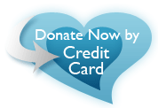 donate by credit card
